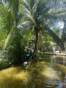 Green Garden Homestay Can Tho