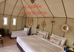 Sahara Starlight camp