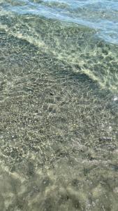 Brezza Marina B&B