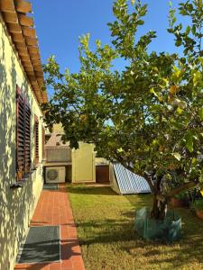 Brezza Marina B&B