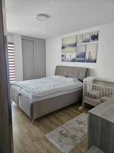 Sofija Home
