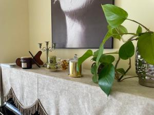 A warm, elegant residence for work, rest, music