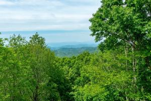 Mars Hill Retreat Sauna Wet Bar Hot Tub Views