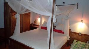 Forest Floor Lodge