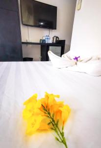 Patong Easy Life 7