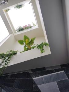 Hoa House Phú Quốc