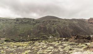 Apartment MarySol Tamaduste 12m from the Sea & BBQ