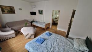 Aleksinac Centar Two-Bedroom Apartment