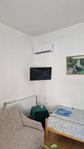 Aleksinac Centar Two-Bedroom Apartment