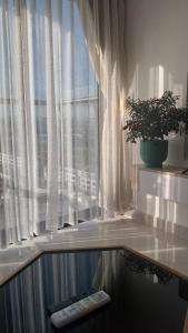 Thỏ homestay, căn hộ cao cấp Huế