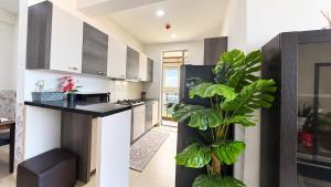 Oceanfront Spacious 3BR SeaView - Airport 10 Min