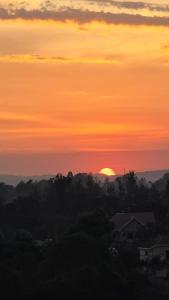 Your Haven of peace in the heart of Arusha