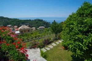Le Clementine B&B - Boschetto