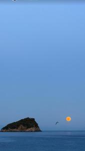 SUITE BLU INN , 10 mt from sea , one parking gratuito free