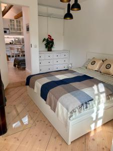 Bright and cozy apartment in historic Kadriorg