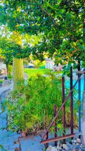 S A Guest Lodge