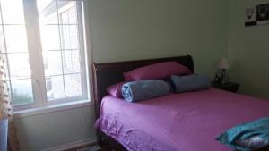 Cosy room in a Vegetarian home with own bathroom