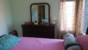 Cosy room in a Vegetarian home with own bathroom