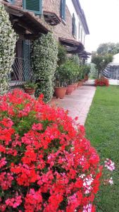 Agriturismo Borgo La Casetta