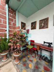 CASA DUQUE JARDIN