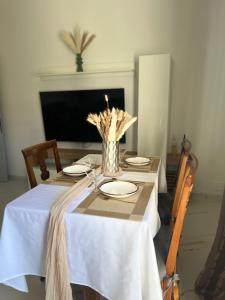 Narmir House