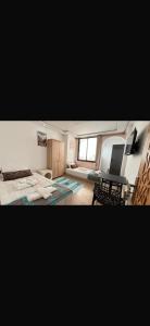 Atlantic surf lodge