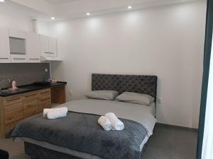 Apartmani Šabac