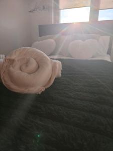 Apartament Oaza z widokiem na Stare Miasto