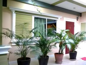 Kacha Resort