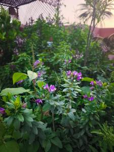 Dar Itran Sunny Apartment near Taghazout