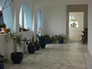 Blue and White Naxos Greece