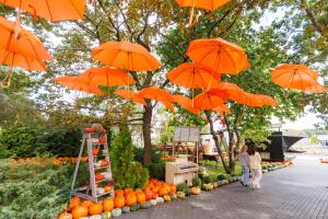 Holiday Golden Resort & Spa