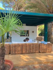 Casa Pineta Elba, a short walk from the sea