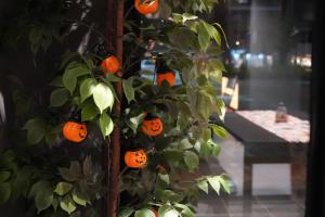 琥珀 Apartment Hotel Kyoto