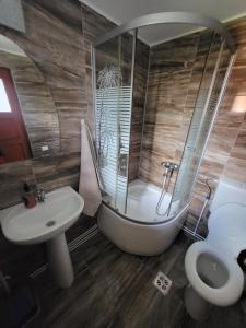 Cabana Poiana Vârtop