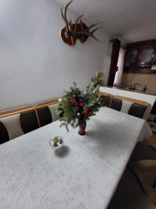 Cabana Poiana Vârtop