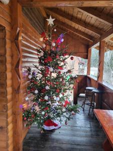 Cabana Poiana Vârtop