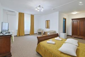 Hotel Ariesul