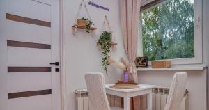 Niezapominajka Boho