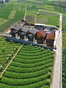 Lawu View Glamping