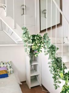 Lavi Apartment Trastevere