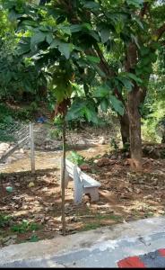 Ardra Homestay Riverfront த்வாத சாந்தம்