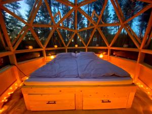 Treehouse Dome in the Wilderness