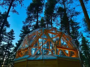 Treehouse Dome in the Wilderness