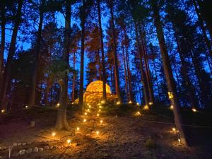 Treehouse Dome in the Wilderness
