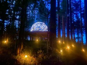 Treehouse Dome in the Wilderness