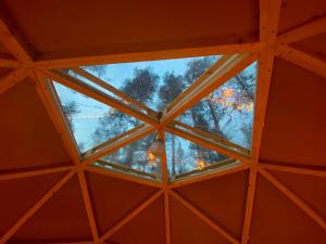 Treehouse Dome in the Wilderness