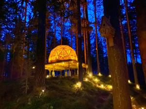 Treehouse Dome in the Wilderness