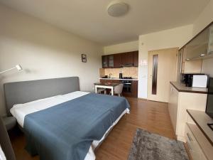 Lomnica Garden Apartment 3