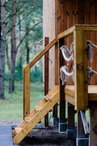 Prywatne SPA na drzewie -Młodnik